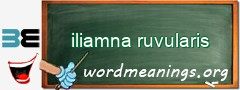 WordMeaning blackboard for iliamna ruvularis